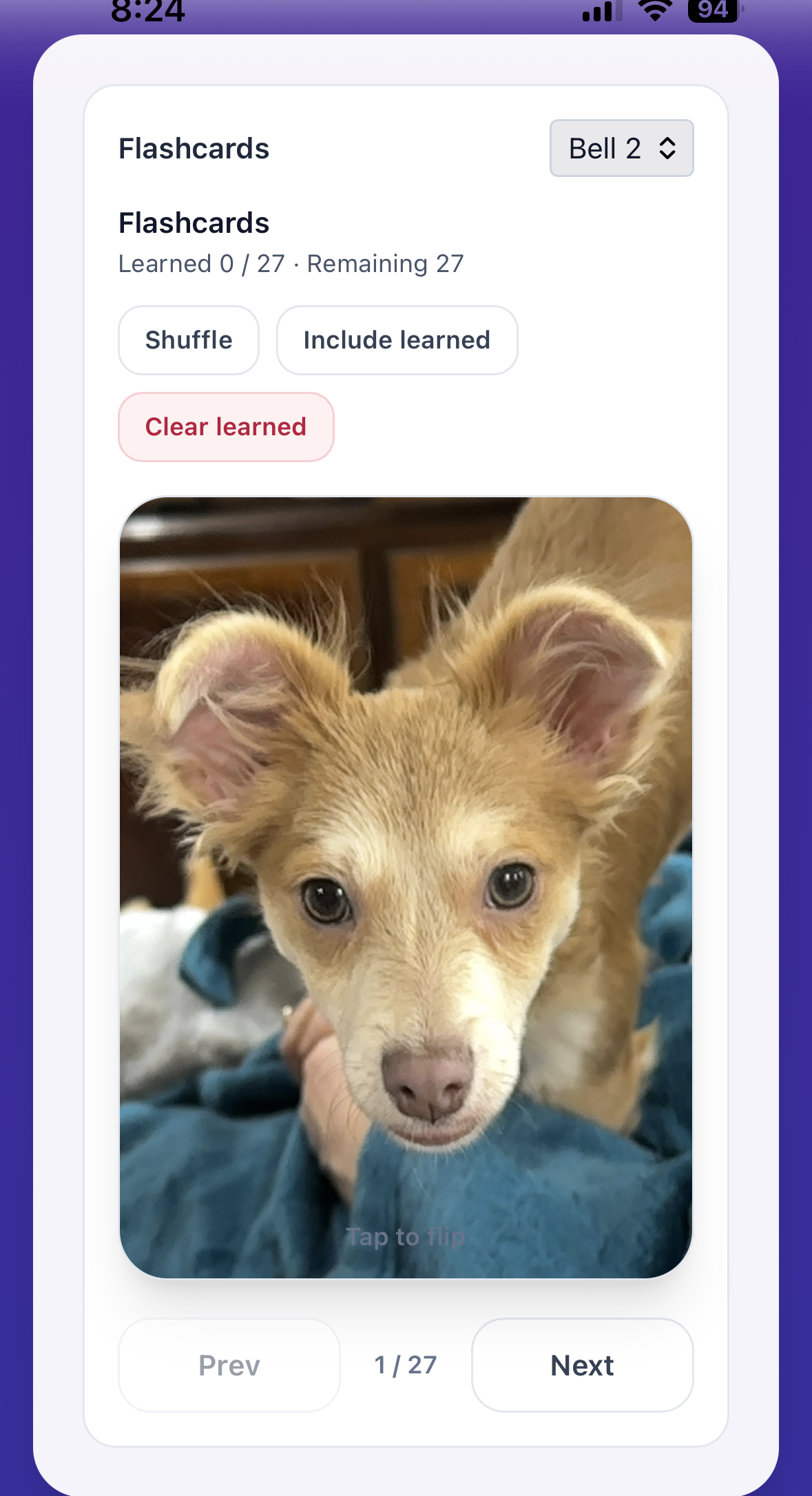 Flashcards screen showing a student photo and deck controls